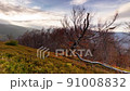 Carpathians, Pylypets, Ukraine. Mountain cloud top view landscape. Timelapse of the Magura-Dzhide mountain range in the Carpathians from the air. Mount Gemba. Shipit Karpat. 91008832