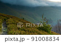 Carpathians, Pylypets, Ukraine. Mountain cloud top view landscape. Timelapse of the Magura-Dzhide mountain range in the Carpathians from the air. Mount Gemba. Shipit Karpat. 91008834