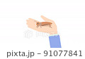 右手拿著可食用蟋蟀的動畫 91077841