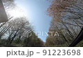 ゴールデンウィーク熊本秋田温泉旅行 91223698