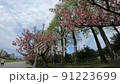 ゴールデンウィーク熊本秋田温泉旅行 91223699