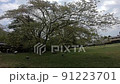 ゴールデンウィーク熊本秋田温泉旅行 91223701