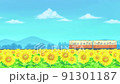 Summer sunflower field scenery Animation of a running train Local line Blue sky 91301187