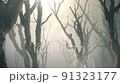森林 樹林 有霧的 91323177