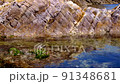 Coastal scenery, Sanin coast (Tottori prefecture) 91348681