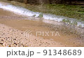 Scenery of the coast 91348689