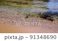 Scenery of the coast 91348690