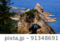 Coastal scenery, Sanin coast (Tottori prefecture) 91348691