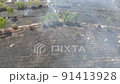 Aerial Drone Shot. Flying above fire in the nature. 91413928