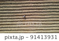 Aerial view drone camera swirl over agricultural fields. Agriculture food production, plantation from up above, top view. 91413931