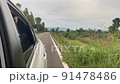 The Dog looks out the open window of the car. 91478486