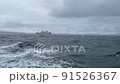 荒波 91526367