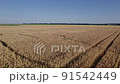 Drone flying over a wheat field 91542449