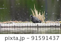 Tsurushigi 91591437