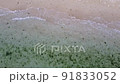 Sea	 91833052