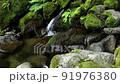 Clear stream from Shiraito Waterfall in Itoshima 91976380