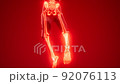 human skeleton radiography medical scan 92076113