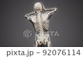 human skeleton radiography medical scan 92076114