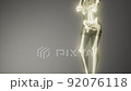 Human Skeleton Radiography Medical Scan 92076118
