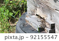 view of a wooden honey bee hive against the background of wind noise and nature sounds 92155547