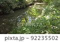 美麗的池塘花園 92235502