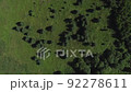 Video of dron flying above garbage dump along the road near the forest 92278611