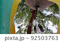 真夏の公園で水遊びしている小学生の女の子の様子の動画素材