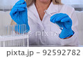 professional scientist takes a sample for a medical experiment. A research chemist works in a 92592782