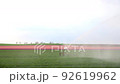 Scenic view of big autonomous smart automatic irrigation system watering green plant field against flower plantation on background. Agriculutral irrigating sprinkler machine spraying water at farm 92619962