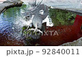 dragon stone statue water 92840011