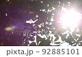 Sunbeams 92885101