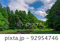 4K hyperlapse forest park pond and promenade 92954746