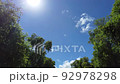 Beautiful eco trees and walks 92978298