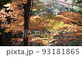 Natural scenery of colorful autumn leaves deep in the mountains (maple and maple) 93181865