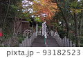 The stone steps of the temple and the natural scenery of vivid autumn leaves (maple and maple) 93182523