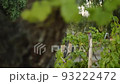 93222472