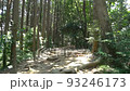 走在森林裡爬山手持拍攝慢動作 93246173