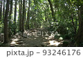 走在森林裡爬山手持拍攝慢動作 93246176