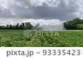 watering soybeans in summer France 93335423