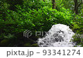 Small waterfall and forest green 93341274