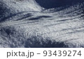 snow, winter, branch 93439274