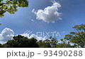 公園の木の間から見上げる白い雲 93490288