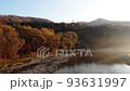 Colorful Autumn landscape. Fall time. Nature. Drone view 93631997