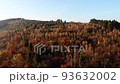 Colorful Autumn natural landscape. Bright trees on mountain slope 93632002