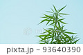 Wild cannabis plants with sky in the background, Cannabis is a medicinal plant used in medical treatment, Marijuana is a medicinal herb, Hemp is a medicinal plant 93640390
