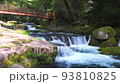 Kikuchi Gorge 93810825
