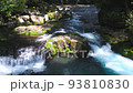 Kikuchi Gorge 93810830