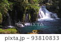 Kikuchi Gorge 93810833