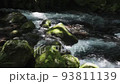 Kikuchi Gorge 93811139