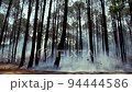 Wide shot of forest fire at Netarhat Jharkhand. 94444586